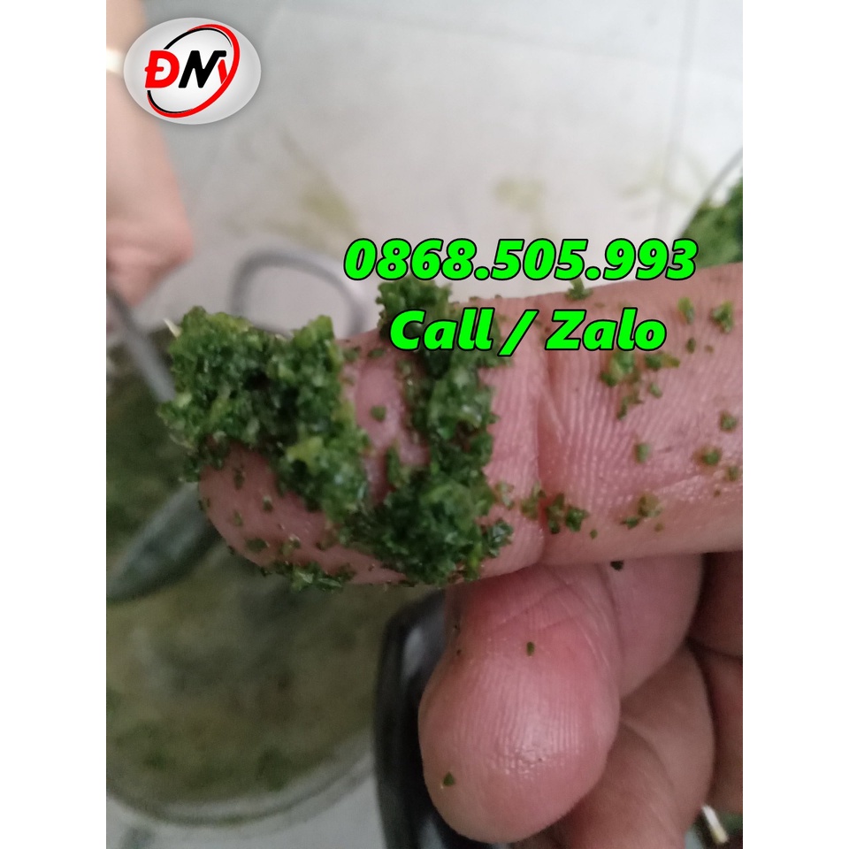 Máy xay rau má đa năng 2kg, xay lá sương sâm, lá dứa, xay nước sốt - dao thả