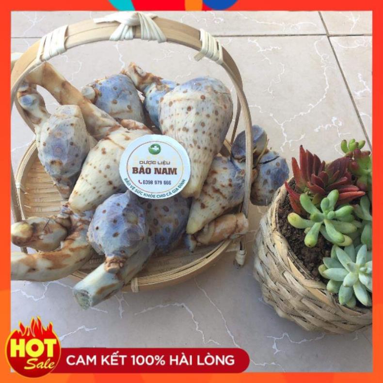 Củ Nghệ đen rừng già Lai Châu, 100% tự nhiên -1kg