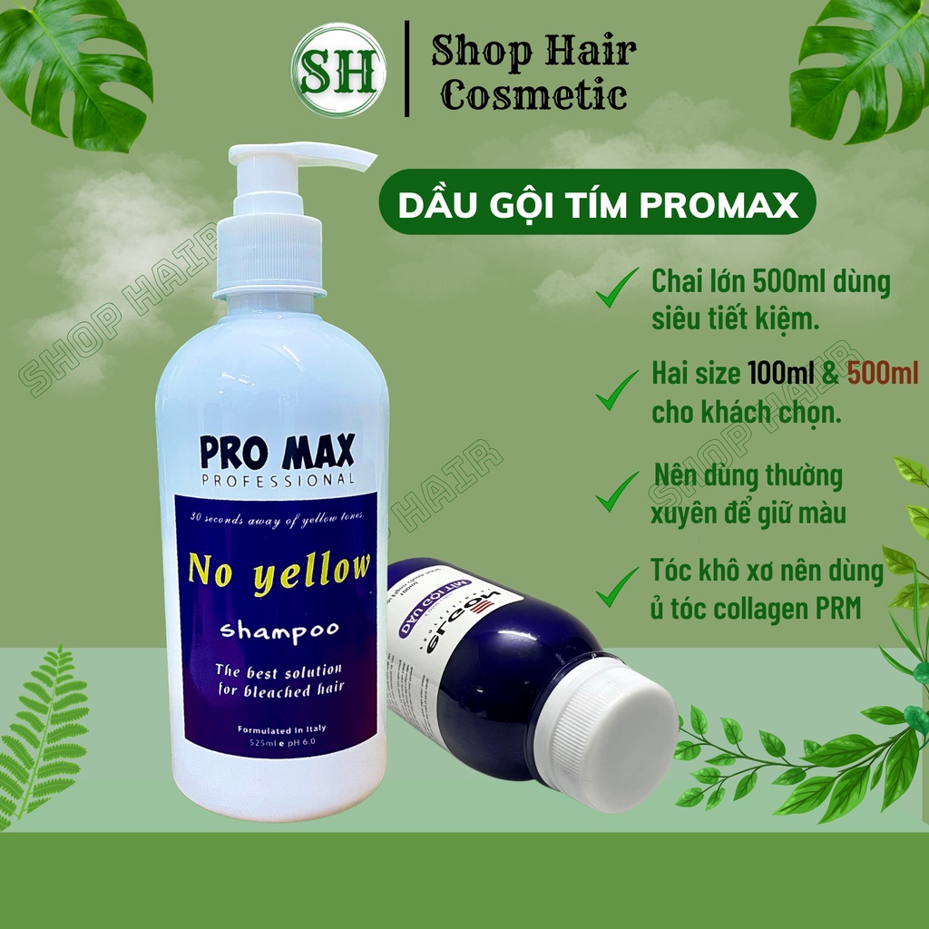 Dầu gội tím Promax, dầu gội khử vàng và giữ màu dành cho tóc tẩy nhuộm màu thời trang | Bill Hair, Billhair