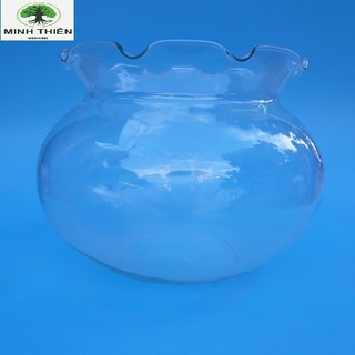 Bể cá thủy tinh miệng bèo dk 24cm x cao 21cm - b2
