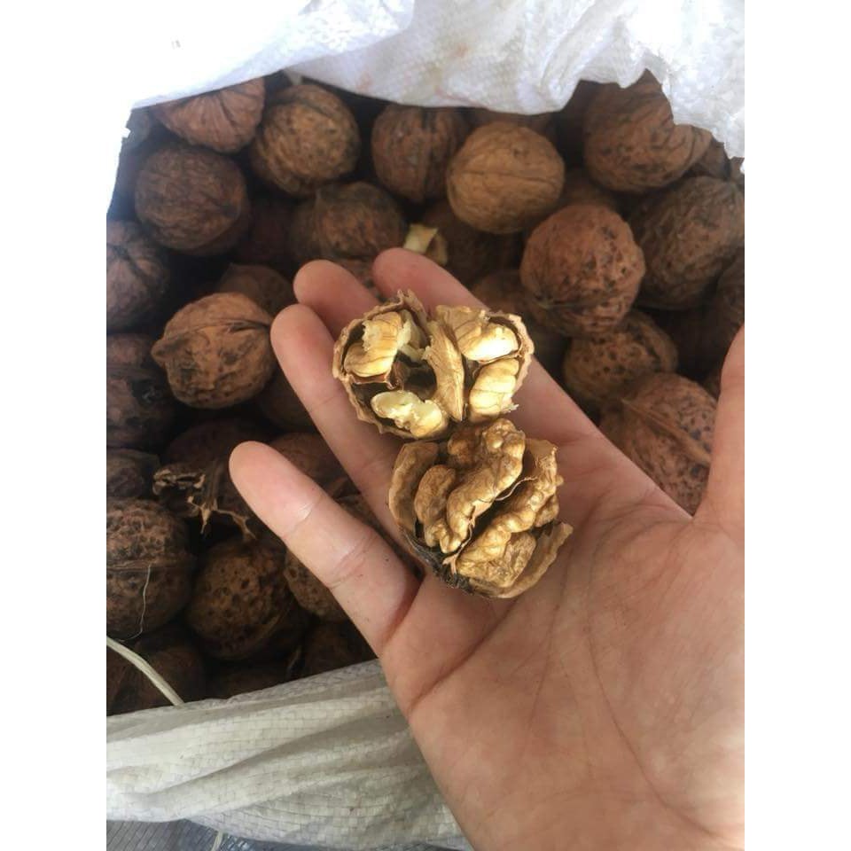 Óc Chó 1kg