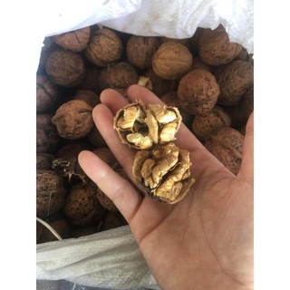 Óc chó 1kg