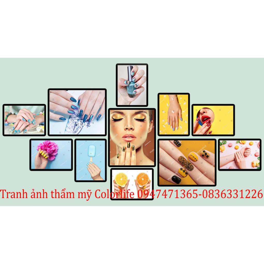 TRANH NAIL MI TRANG TRÍ TIỆM NAIL SIÊU ĐẸP GIÁ XƯỞNG SEONAIL3 ÁNH DƯƠNG SIÊU BỀN BẢO HÀNH 2 NĂM