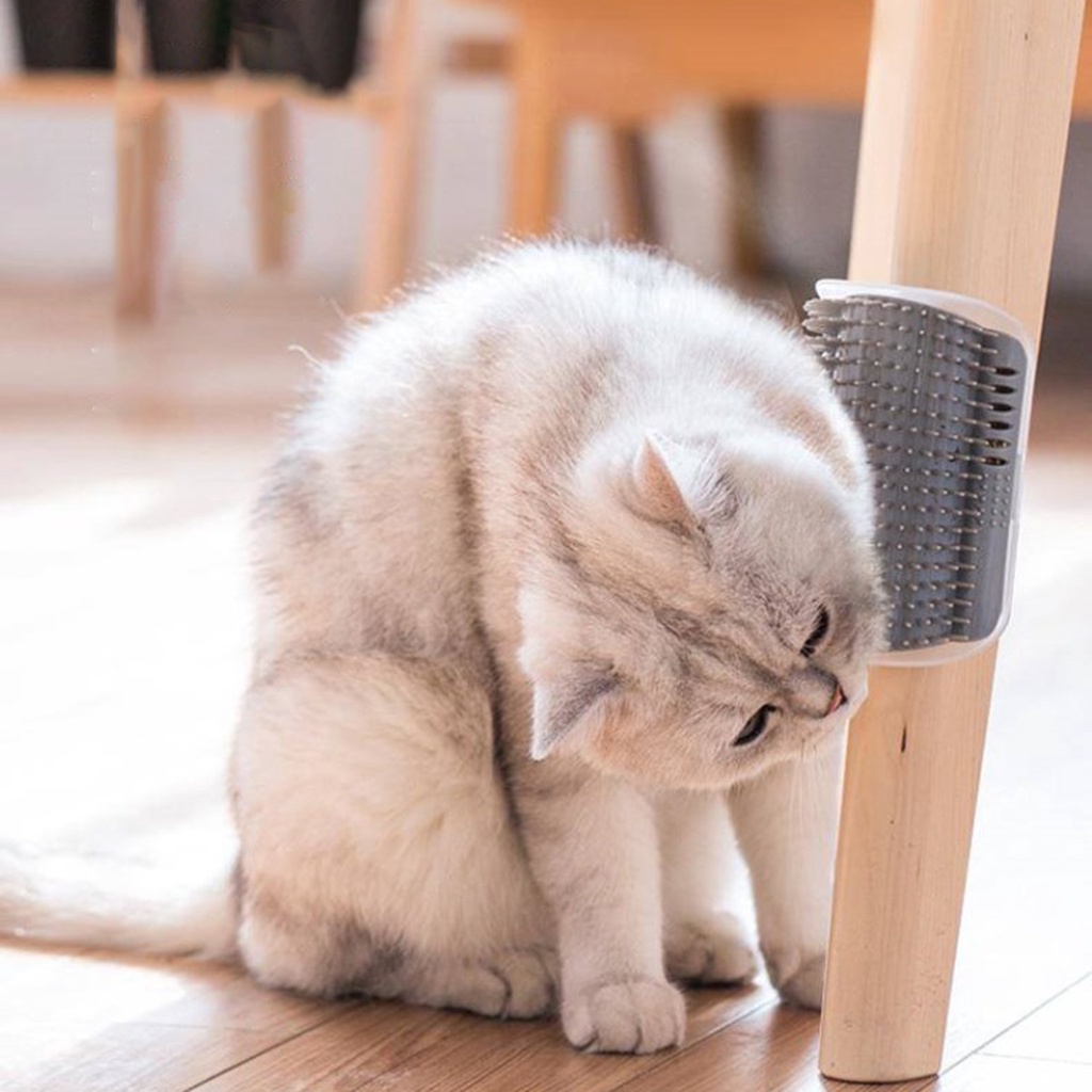 Lược Chải Lông Mát Xa Cho Thú Cưng