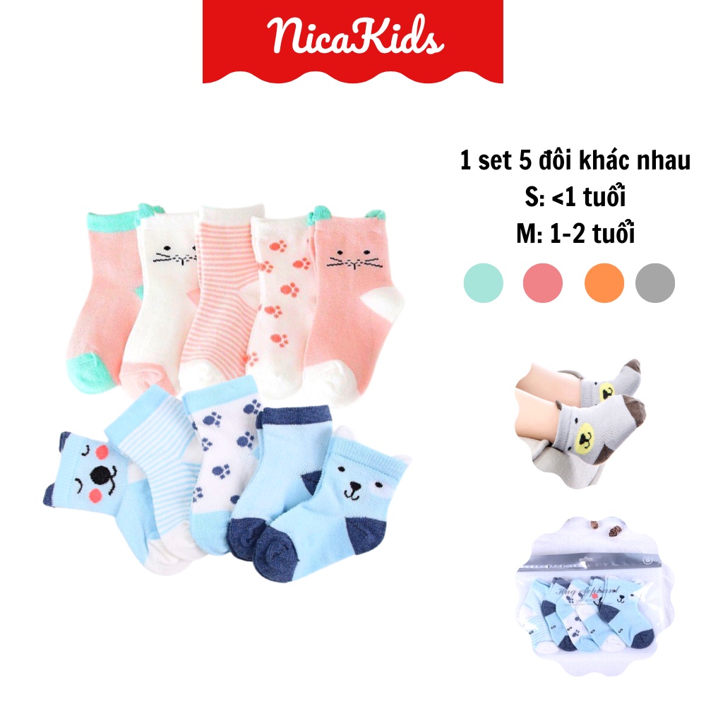 Túi 5 đôi tất lưới cao cổ hình mặt gấu T03