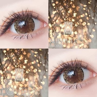 {Cận 1.00}-Lens Kính áp tròng Cận ( Giá 1 đôi-Kèm Khay)