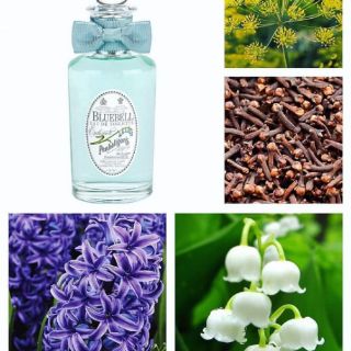 Sharingperfume - nước hoa Penhaligons Bluebell   [Mẫu thử 1Oml ]