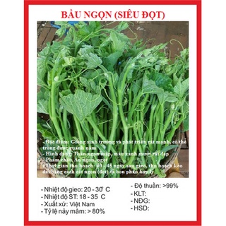 5 hạt giống bầu ngọn