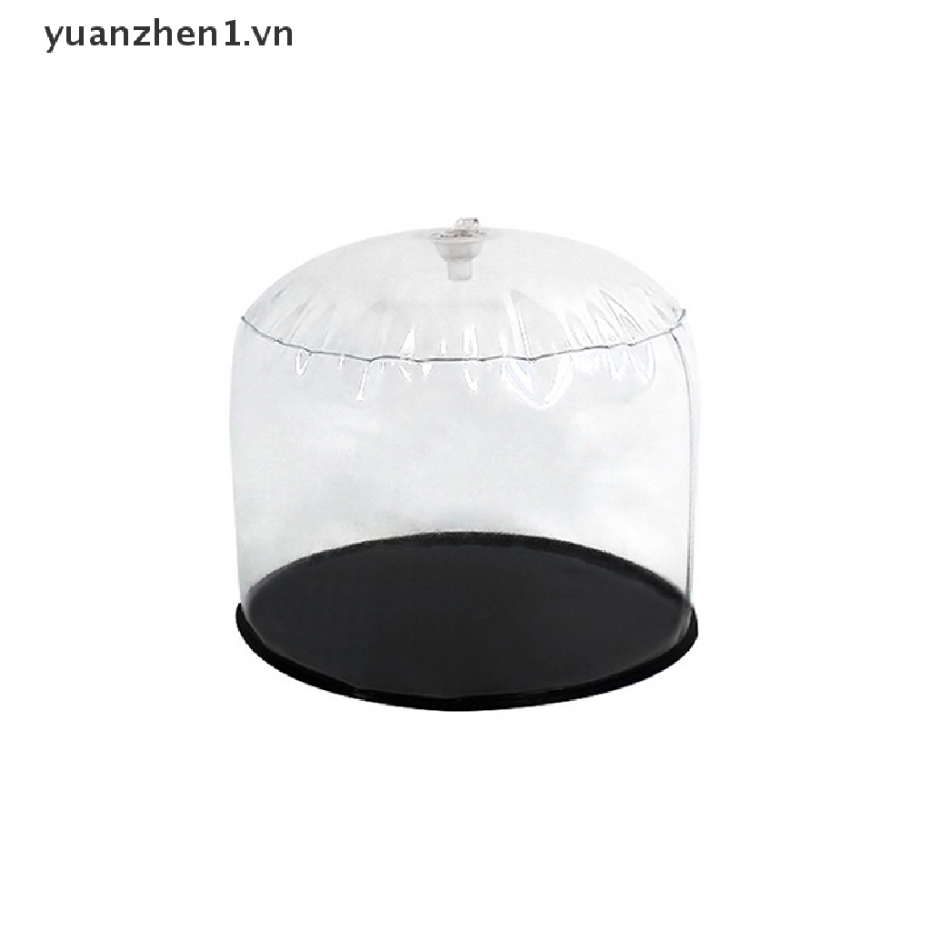 Phao bơm hơi PVC trong suốt hỗ trợ trưng bày nón