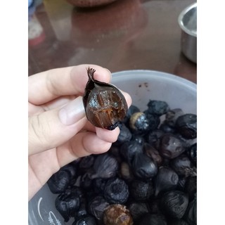 Tỏi đen 100g