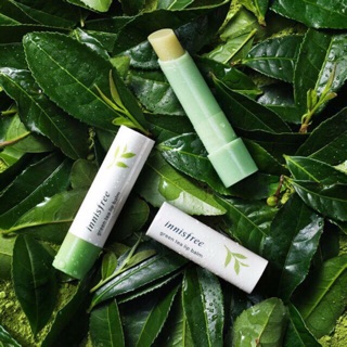 Son dưỡng Innisfree khách đặt