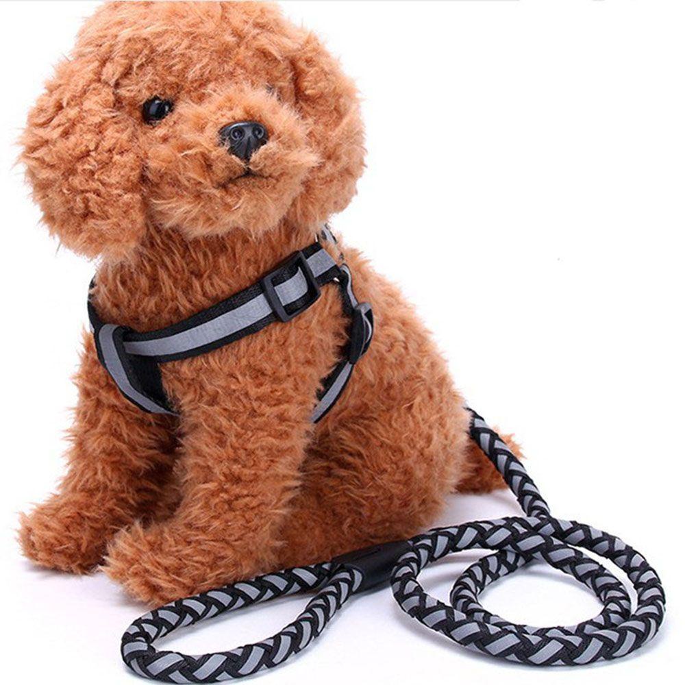 Bộ Dây Dắt Và Dây Dắt Đi Dạo Bằng Nylon Bện Phản Quang