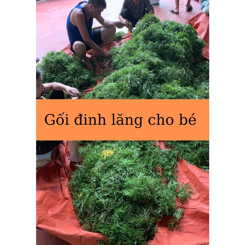 Gối đinh lăng  cho bé từ 3-5 tuổi