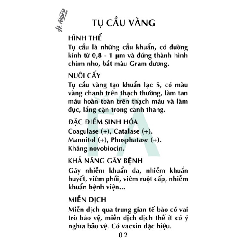 Sổ tay FA vi sinh bản Vi khuẩn // flashcard vi sinh bản Vi khuẩn
