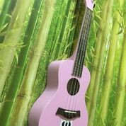 ĐÀN UKULELE CONCERT GỖ NHIỀU MÀU SẮC TẶNG KÈM PHỤ KIỆN- HÀNG CÓ SẴN