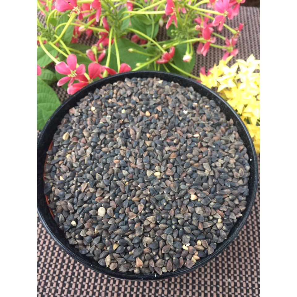 100g hạt ba khía (kiều mạch) cho chim, vẹt, thú cưng