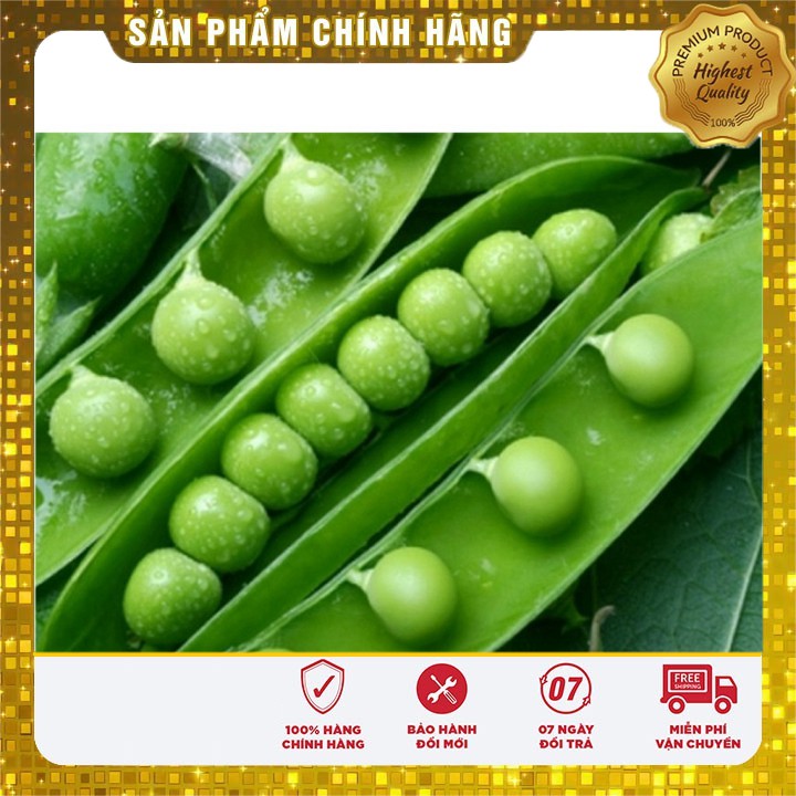 Hạt giống Đậu Hà Lan dễ trồng năng suất( 50gr)