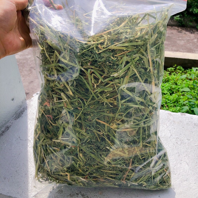 [Mã PET50K giảm Giảm 10% - Tối đa 50K đơn từ 250K] cỏ khô Alfalfa thức ăn dành cho thỏ bọ ú 500g