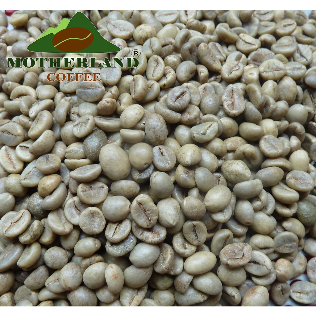 5kg Cà Phê Nhân Robusta S18 đánh bóng Wet Polished