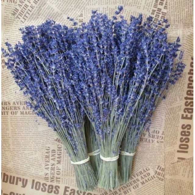 Bó hoa khô hoa lavender tặng kèm túi thơm.aqa