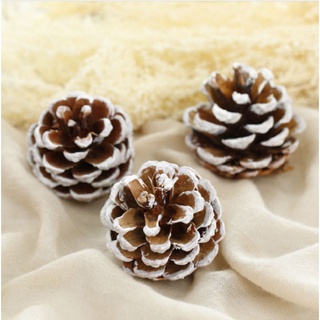 Quả thông trang trí noel