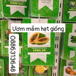 Hạt giống Đu đủ ruột vàng Long An (10 hạt)