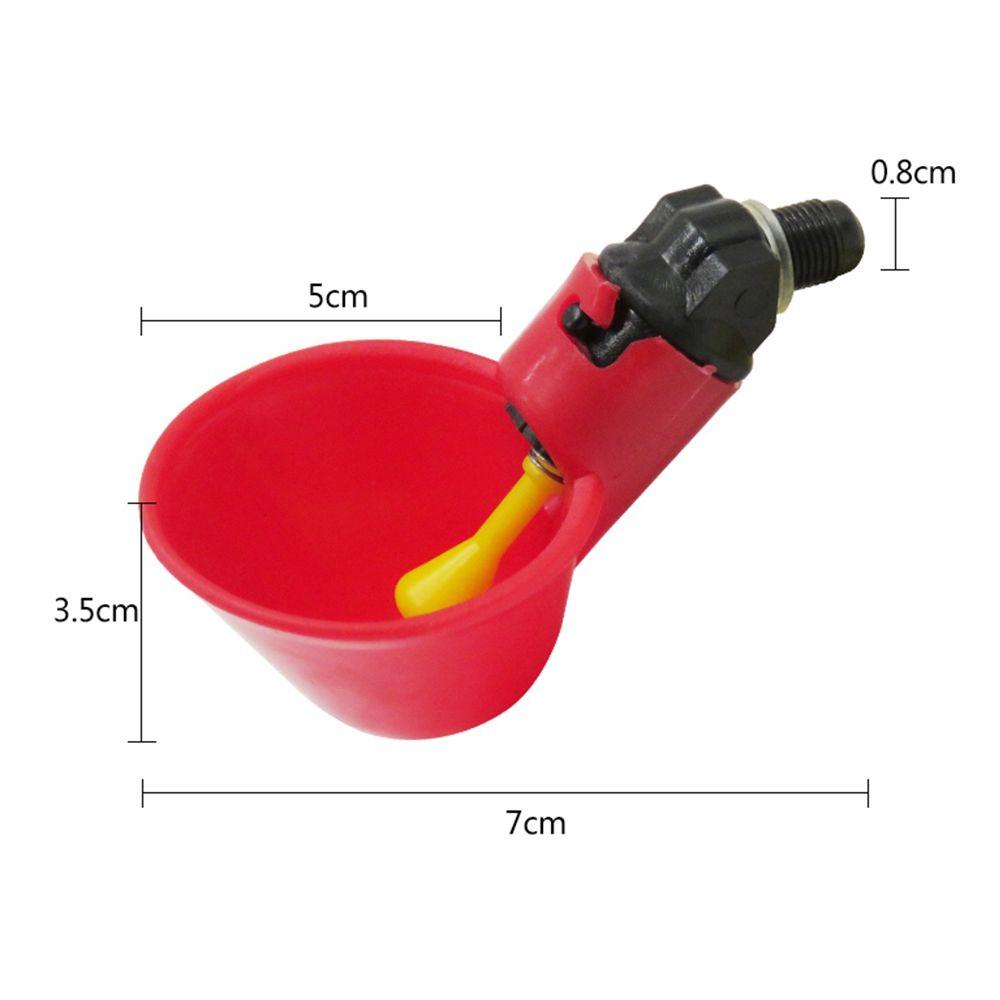 Bát Đựng Nước Uống Tiện Dụng Cho Chim Cảnh