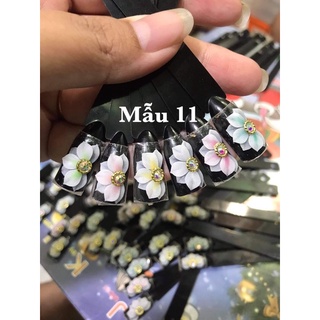 Hoa bột nổi 3d