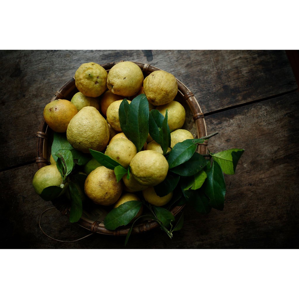 NƯỚC DƯỠNG DA CHANH VÀNG [STORY OF THE FOREST] | BigBuy360 - bigbuy360.vn