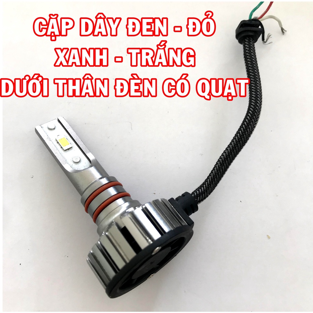 Bóng đèn pha ô tô 10V 60W