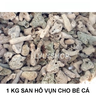 COMBO Chuỗi vật liệu lọc cho bể cá