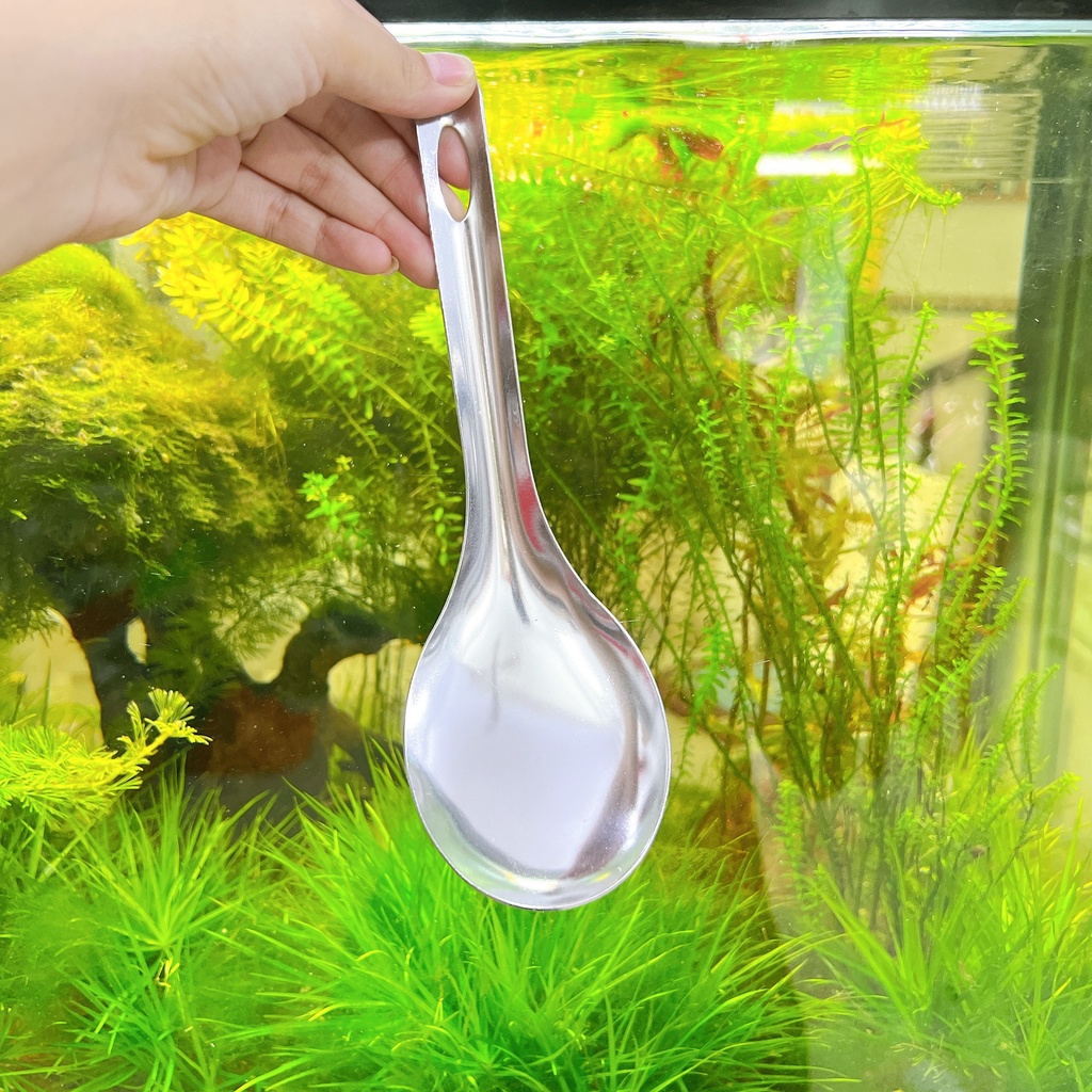 Vá múc cơm , vá múc canh inox Cao Cấp - Vá xới cơm inox OVAL không dính