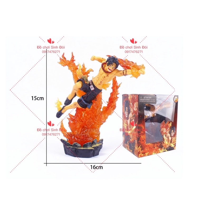 HỘP MÔ HÌNH CƯỚP BIỂN