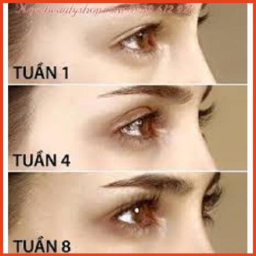 ( Lyngocduyen ) TINH DẦU LÀM DÀI MI VÀ LÀM RẬM-RÂU-LÔNG MÀY