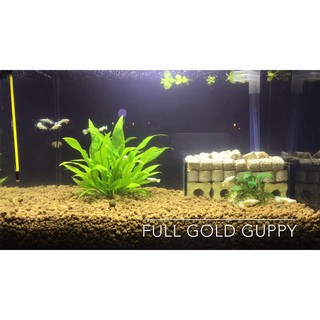 500g Phân Nền Akadama Dùng Trong Hồ Thuỷ Sinh, Trồng Cây Cảnh, Sen Đá, Bonsai, Lan,...