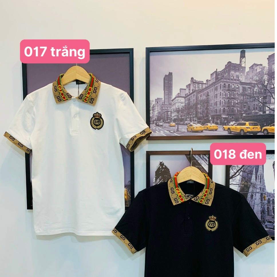 Áo Thun Nam Cao Cấp HD065 Nhiều Mẫu Mới | BigBuy360 - bigbuy360.vn