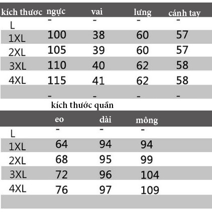 Bộ quần áo khoác thu đông cực đẹp vải ly hợp dày dặn - Bộ quần áo thể thao trung tuổi