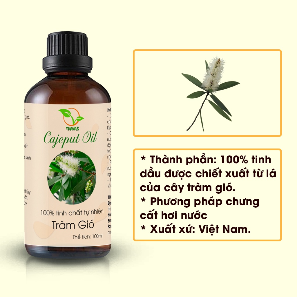 Tinh dầu Tràm gió 100ml/50ml kháng khuẩn, giữ ấm