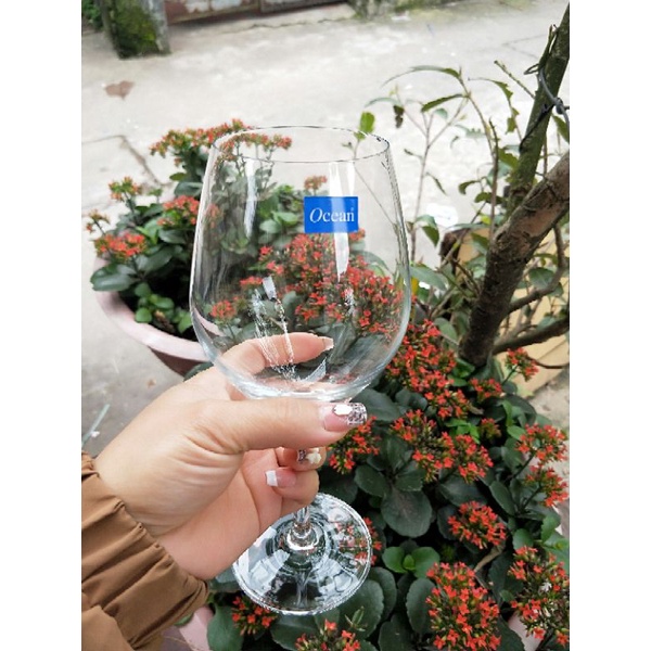 Ly rượu vang Ocean 015r15 - hàng thái lan dung tích 425ml