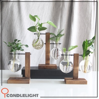 Khay Gỗ Trồng Cây Trang Trí Phong Cách Vintage