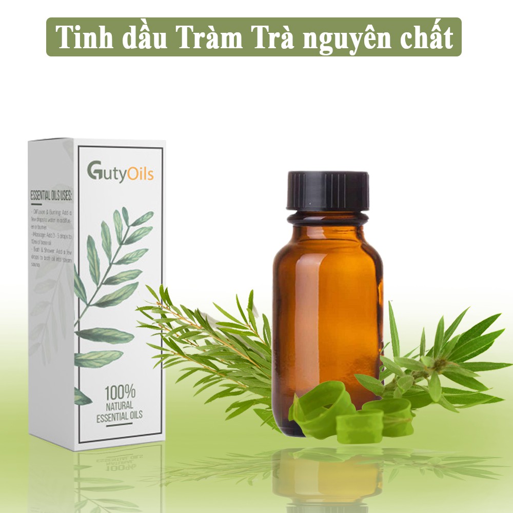 Tinh dầu tràm trà nguyên chất ( Tea Tree Essential Oil ) GUTY