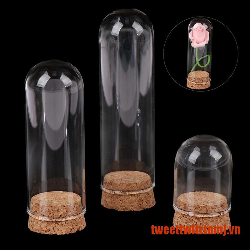 TWEET 1/6 Doll Glass Dome Display Wood Cork Bell Jar With Wooden Base Decoation C