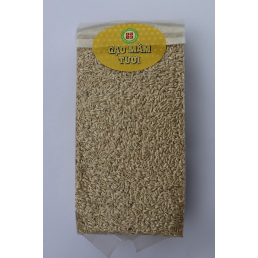 Gạo Mầm Tươi Cờ Đỏ hộp 1kg