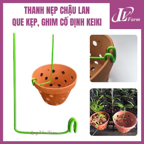 Thanh Nẹp Chậu Lan, Que kẹp, Ghim Cố Định Kie Siêu Tiện Lợi Dùng Cho Hoa Lan, Cây Cảnh