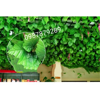 Dây lá thường xuân dài 2m-Lá giả
