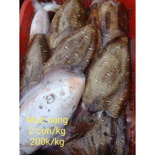 Mực lá biển Phú Yên