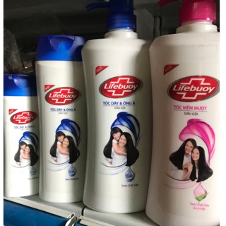 Dầu gội Lifebuoy 640g-320g-170g tặng kèm đánh răng