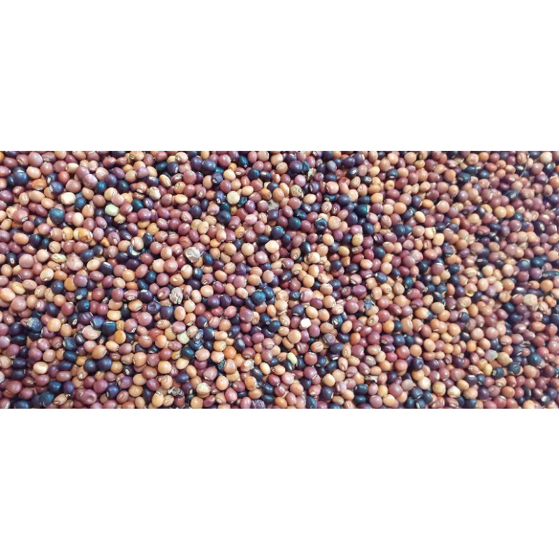 1kg Hạt đậu săng