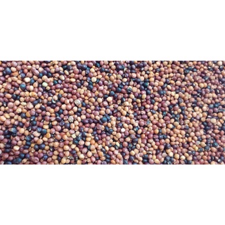 1kg Hạt đậu săng (đậu chiều)