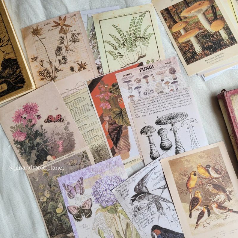 Giấy nền trang trí retro nhiều chủ đề dùng decor vintage journal và junk journal - ginandtonic